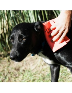 Toalla para mascotas 43x32 cm roja AION 2